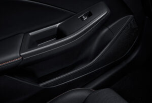 Door panel MG3