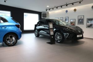 MG Auto-Complex Nowy Sącz